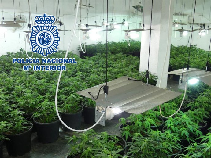 Nota De Prensa: "La Policía Nacional Detiene A Siete Personas Por Tráfico De Drogas Y Desmantela Tres Puntos De Venta Y Cultivo De Marihuana"