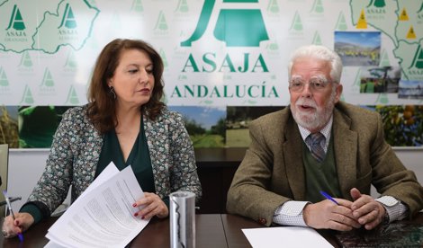 Andalucía
