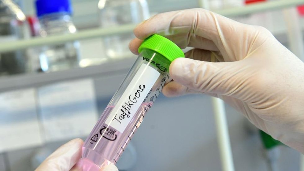 Un proyecto de la USC desarrollará terapias de ARN mensajero en inmunoterapia contra el cáncer con fondos europeos