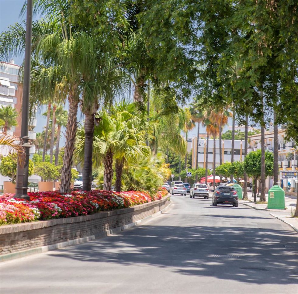 Archivo - Plan de asfaltado en Estepona