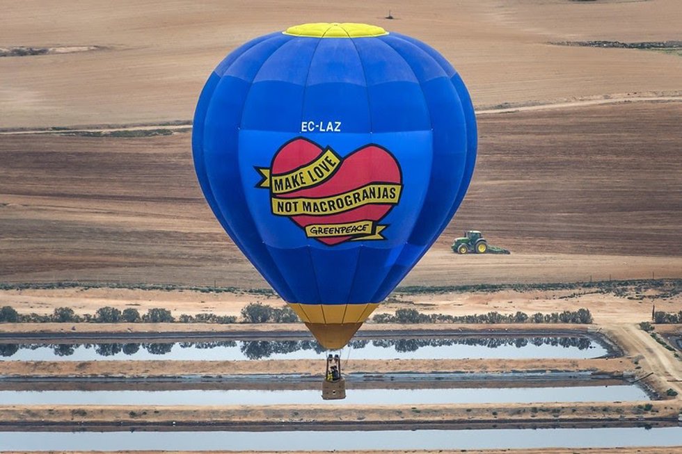 Greenpeace ha sobrevolado la macrogranja de cerdos que CEFU, S.A. (El Pozo - Grupo Fuertes) tiene en Hellín (Albacete), para denunciar el modelo de ganadería industrial que sigue imperando en España y pedir que se frene de una vez su expansión.