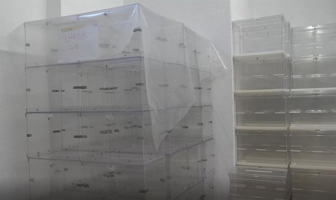 El Ayuntamiento de Pamplona limpia las casi 600 urnas y prepara los materiales electorales para mayo.