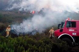 Incendio forestal.- Archivo