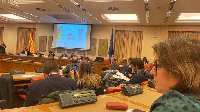 La vicepresidenta segunda y diputada de Innovación Social, Natacha Rivas.