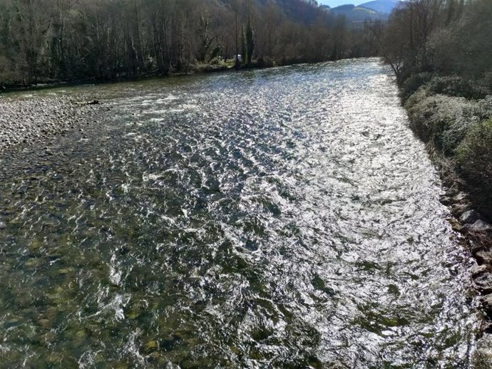 Río Narcea.