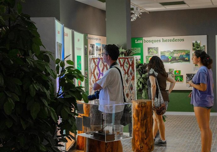 Archivo - Visita al Museo del Árbol Fósil en Hacinas (Burgos).