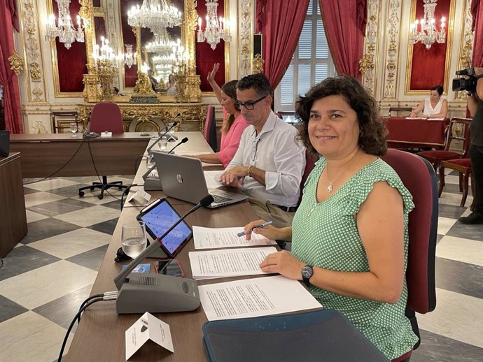 Archivo - La portavoz provincial de IU, Carmen Álvarez, en un Pleno de Diputación.