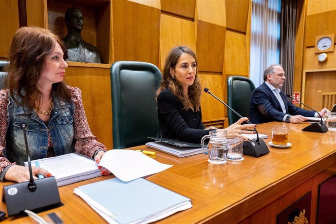 La Comisión de Presidencia, Hacienda e Interior, Economía, Innovación y Empleo del Ayuntamiento de Zaragoza