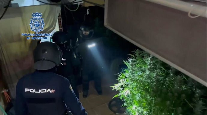 Agentes de la Policía Nacional durante la entrada al domicilio de los detenidos por presuntamente cultivar 492 plantas de marihuana en Riells i Viabrea (Girona)