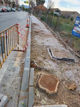 Imagen de árboles talados en Espinardo