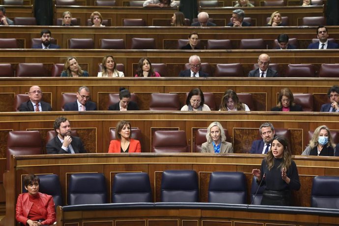 La ministra de Igualdad, Irene Montero, interviene durante una sesión plenaria, en el Congreso de los Diputados, a 15 de febrero de 2023, en Madrid (España)