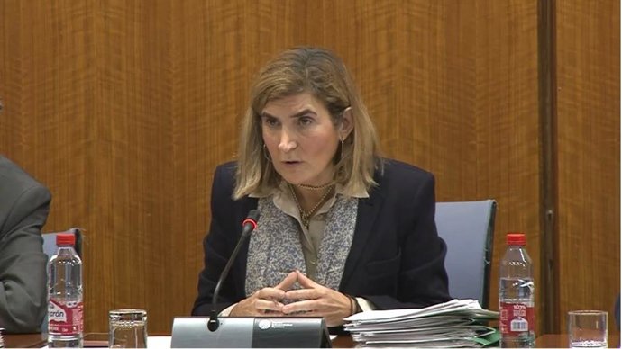 La consejera de Empleo, Empresa y Trabajo Autónomo, Rocío Blanco, en comisión parlamentaria.
