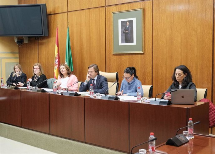 La consejera de Agricultura, Pesca, Agua y Desarrollo Rural, Carmen Crespo, en comision parlamentaria.