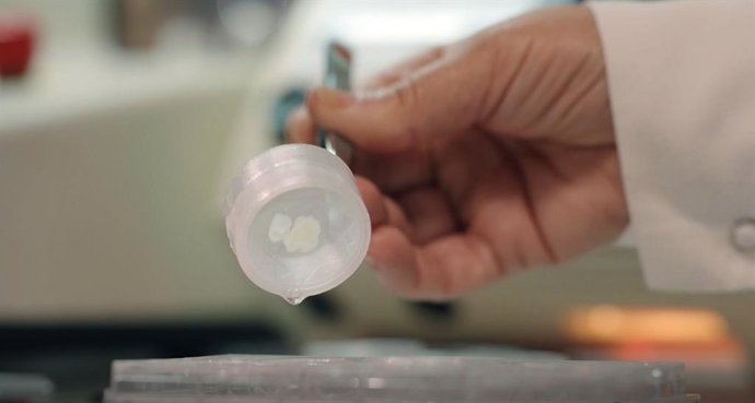 Investigadores de la UMH-CSIC crean un dispositivo para manipular fácilmente muestras de tejido biológico