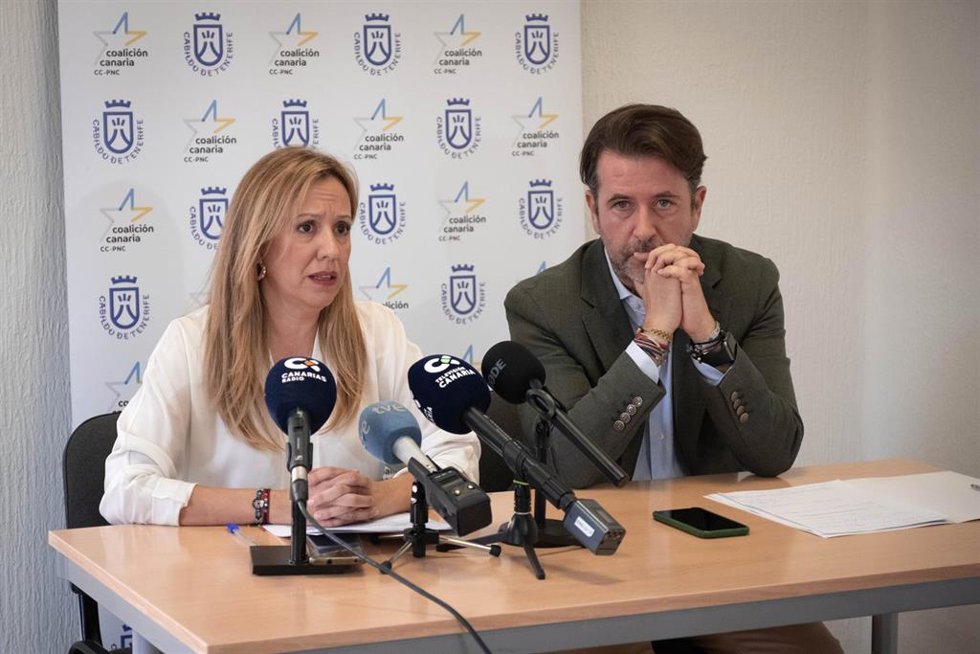 Archivo - El portavoz del grupo nacionalista en el Cabildo, Carlos Alonso, y la diputada por Tenerife Rosa Dávila