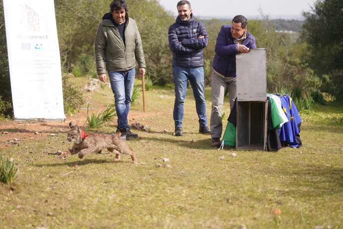 Vídeo de la noticia