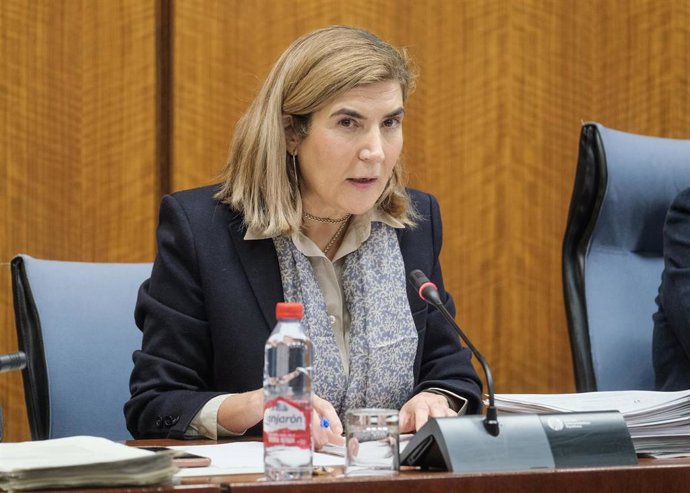 La consejera de Empleo, Empresa y Trabajo Autónomo, Rocío Blanco, en comisión parlamentaria.