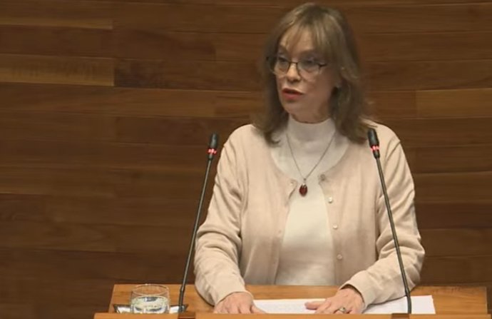 La portavoz de IU en la Junta General, Ángela Vallina