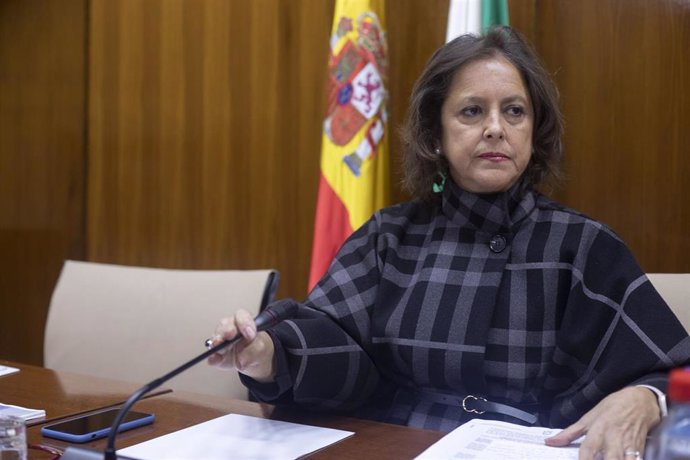 La consejera de Salud y Consumo, Catalina García, durante su comparecencia en comisión parlamentaria. A 15 de febrero de 2023, en Sevilla (Andalucía, España). La consejera de Salud y Consumo, Catalina García, ha informado en la comisión en el Parlamento