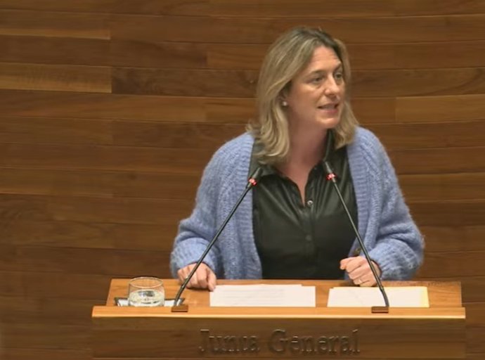 La diputada del PP Reyes Fernández Hurlé