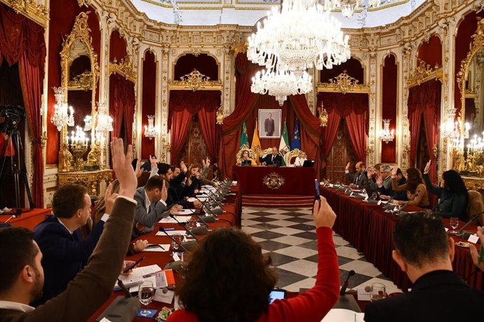 El Pleno Aprueba Cuatro Planes Que Marcarán Sus Políticas Culturales, Deportivas, De Igualdad Y De Asistencia A Municipios En 2023