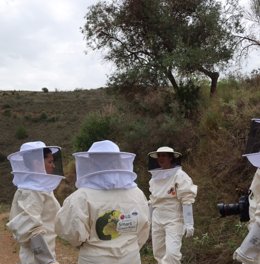 Smart Green Bees nace como iniciativa social con el fin de repoblar nuestro país con hasta 47 millones de abejas ibéricas, las únicas capaces de polinizar todas las especies vegetales de nuestro entorno.