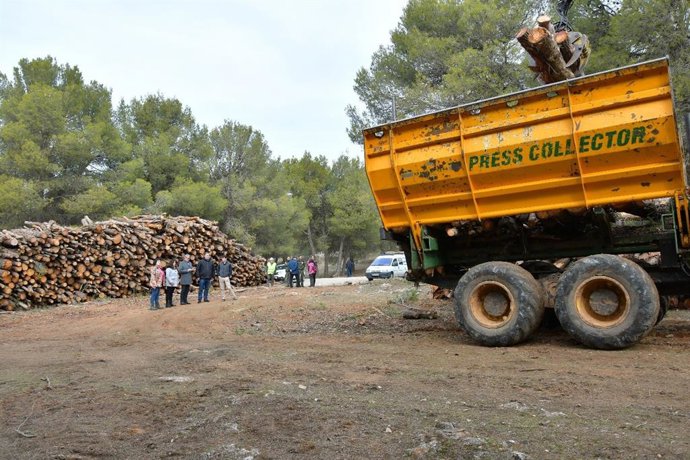 Trabajos en el monte público de La Zubia