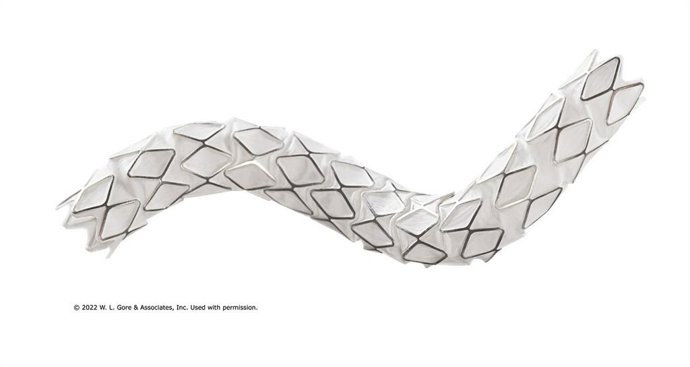 GORE VIABAHN VBX Balloon Expandable Endoprosthesis