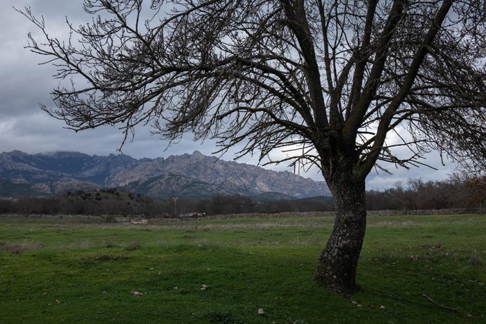 Archivo - Paisaje de la sierra de Madrid en la noche más larga del año, a 21 de diciembre de 2022, en Madrid (España). El inicio del invierno en el hemisferio norte está definido por el instante en que la Tierra pasa por el punto de su órbita desde el c