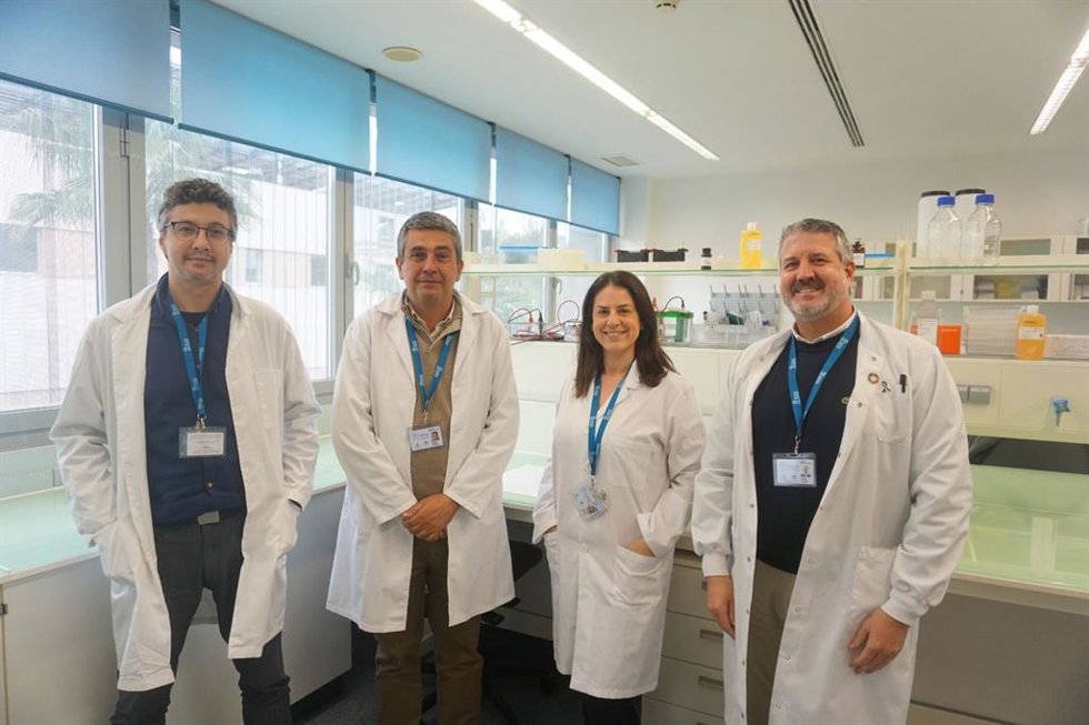 Un estudio que vincula los aceites esenciales de la dieta mediterránea con nuestra salud cardiovascular