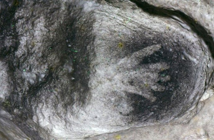 Mano grabada en la pared de la cueva de Aurignac