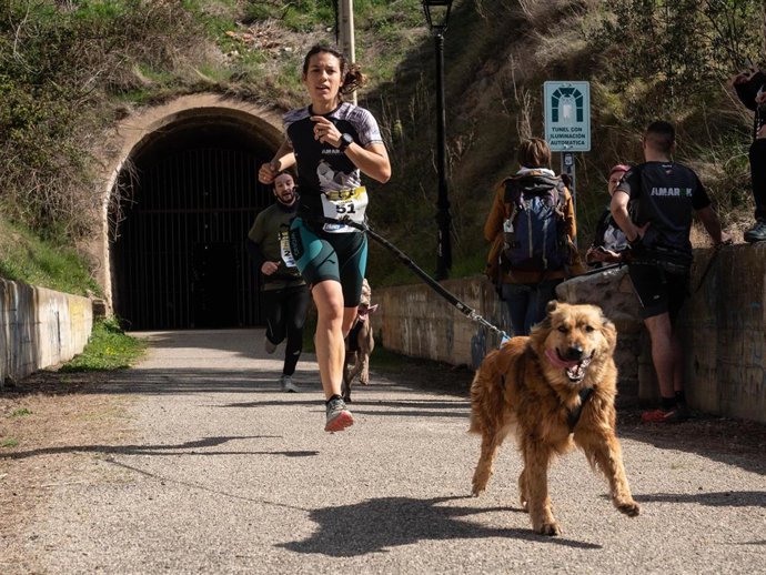 Archivo - El Club Canicross Rioja denuncia que la Ley del Deporte desprotege a los animales