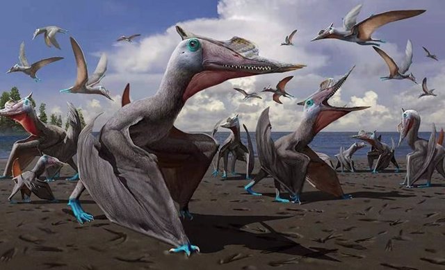 Archivo - Especie de pterosaurio descubierta en China