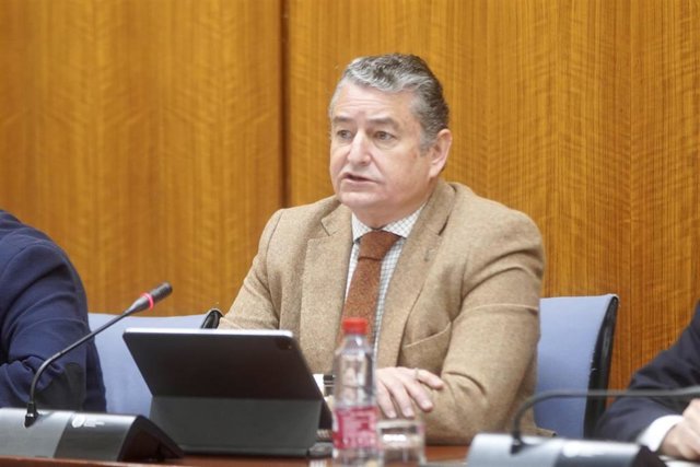 El consejero de la  Presidencia, Interior, Diálogo Social y Simplificación Administrativa, Antonio Sanz, durante su comparecencia en sede parlamentaria en la comisión  de Presidencia, Interior, Diálogo Social y Simplificación Administrativa a 16 de febrer