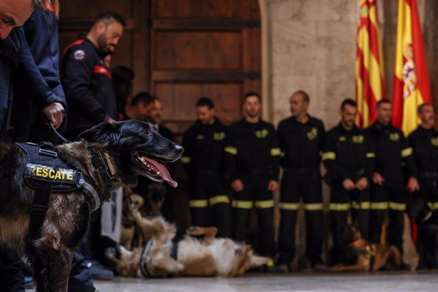 El 'president' de la Generalitat Valenciana, Ximo Puig, recibe a bomberos desplazados a tareas de rescate en el terremoto de Turquía