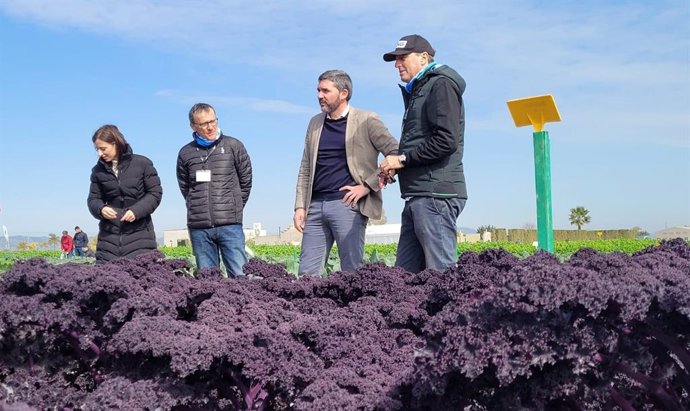 El consejero de Agua, Agricultura, Ganadería y Pesca, Antonio Luengo, durante su visita a la finca experimental El Aljibe