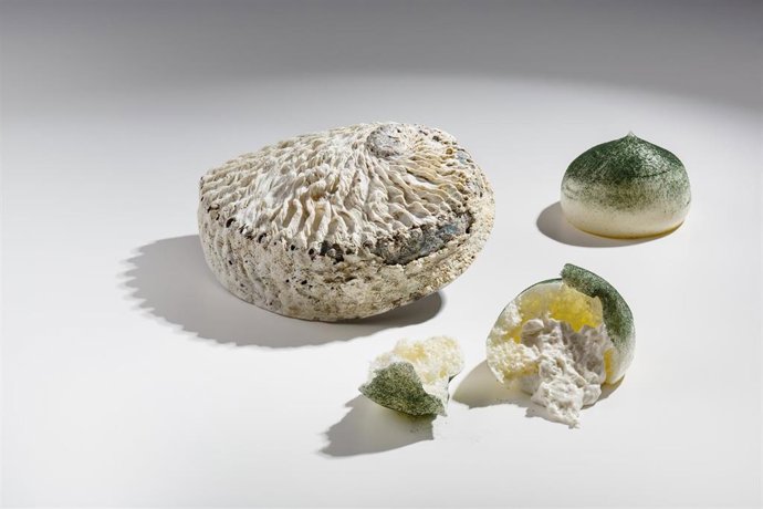 Archivo - Frágil roca de abalón de Quique Dacosta