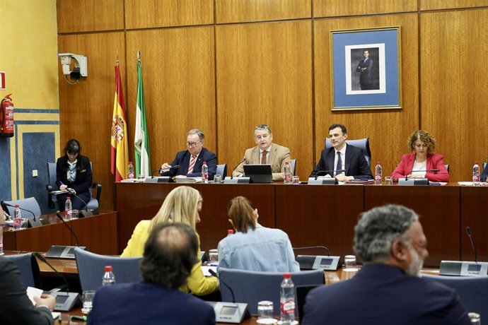 El consejero de la  Presidencia, Interior, Diálogo Social y Simplificación Administrativa, Antonio Sanz, durante su comparecencia en sede parlamentaria en la comisión  de Presidencia, Interior, Diálogo Social y Simplificación Administrativa a 16 de febr