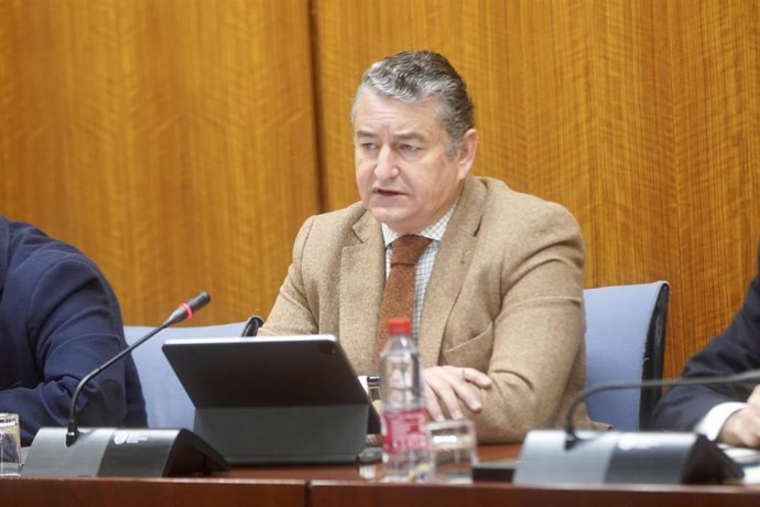 El consejero de la  Presidencia, Interior, Diálogo Social y Simplificación Administrativa, Antonio Sanz, durante su comparecencia en sede parlamentaria en la comisión  de Presidencia, Interior, Diálogo Social y Simplificación Administrativa a 16 de febr