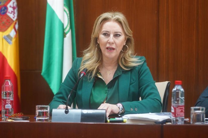 La consejera de Hacienda y Fondos Europeos Carolina España, durante la comparecencia en sede parlamentaria de la comisión  de Economía, Hacienda y Fondos Europeos a 16 de febrero del 2023 en Sevilla (Andalucía)