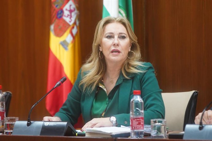 La consejera de Hacienda y Fondos Europeos Carolina España, durante la comparecencia en sede parlamentaria de la comisión  de Economía, Hacienda y Fondos Europeos a 16 de febrero del 2023 en Sevilla (Andalucía)