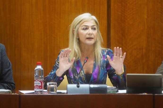 La consejera de Desarrollo Educativo y Formación Profesional, durante su comparecencia en sede parlamentaria  en la comisión de Desarrollo Educativo y Formación Profesional a 16 de febrero del 2023 en Sevilla (Andalucía, España)