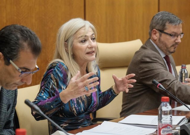Comparecencia de Patricia del Pozo en sede parlamentaria