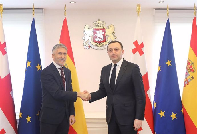 Archivo - El ministro del Interior, Fernando Grande-Marlaska, en su visita a Georgia