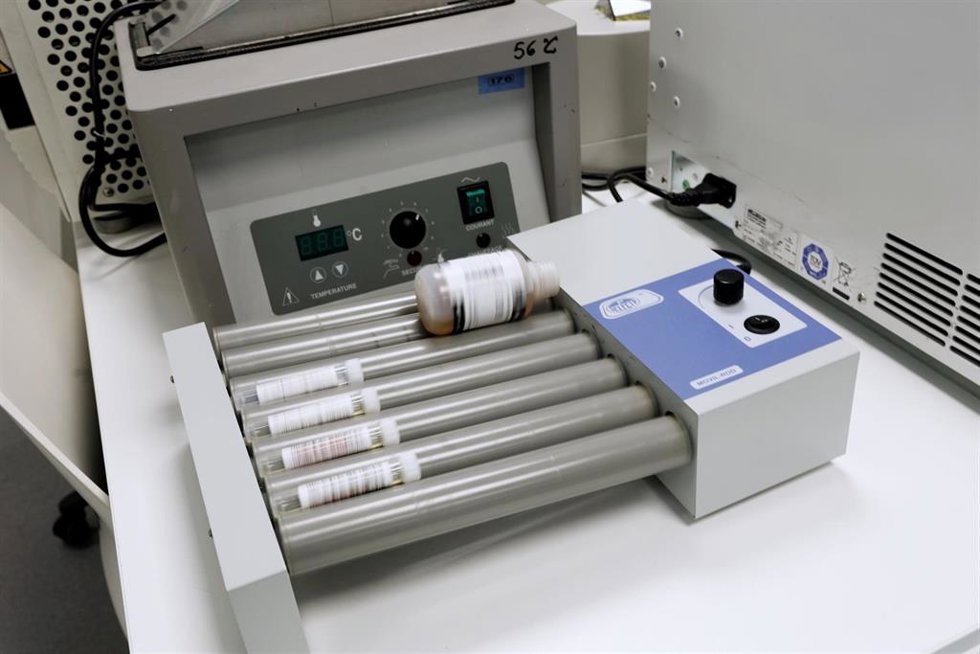 Archivo - Una prueba PCR  