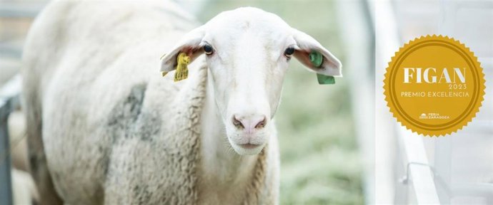 Como cada año, la entrega de estos premios se realizará durante la celebración de FIGAN 2023, del 28 al 31 de marzo, en una ceremonia especial.