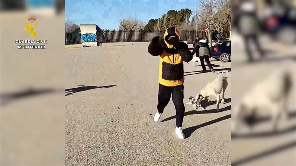 La Guardia Civil de Albacete investiga a dos personas por un delito de maltrato animal