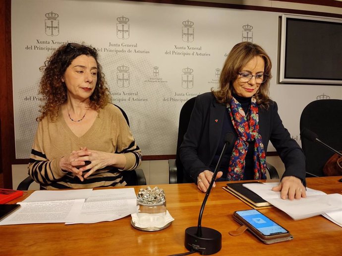 Rueda de prensa de la portavoz de IU en la Junta General, Ángela Vallina, y la ex concejala de IU en el Ayuntamiento de Oviedo, Cristina Pontón.