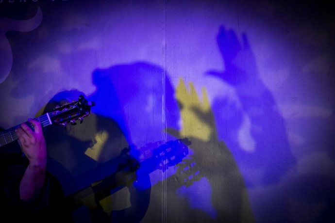 Archivo - Flamenco, imagen de archivo 