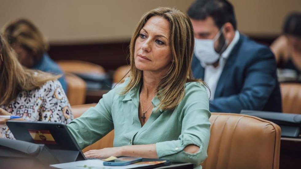 Archivo - La diputada de Vox en el Congreso por Sevilla, Reyes Romero.